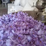 Domaine D'audabiac Bed and breakfast